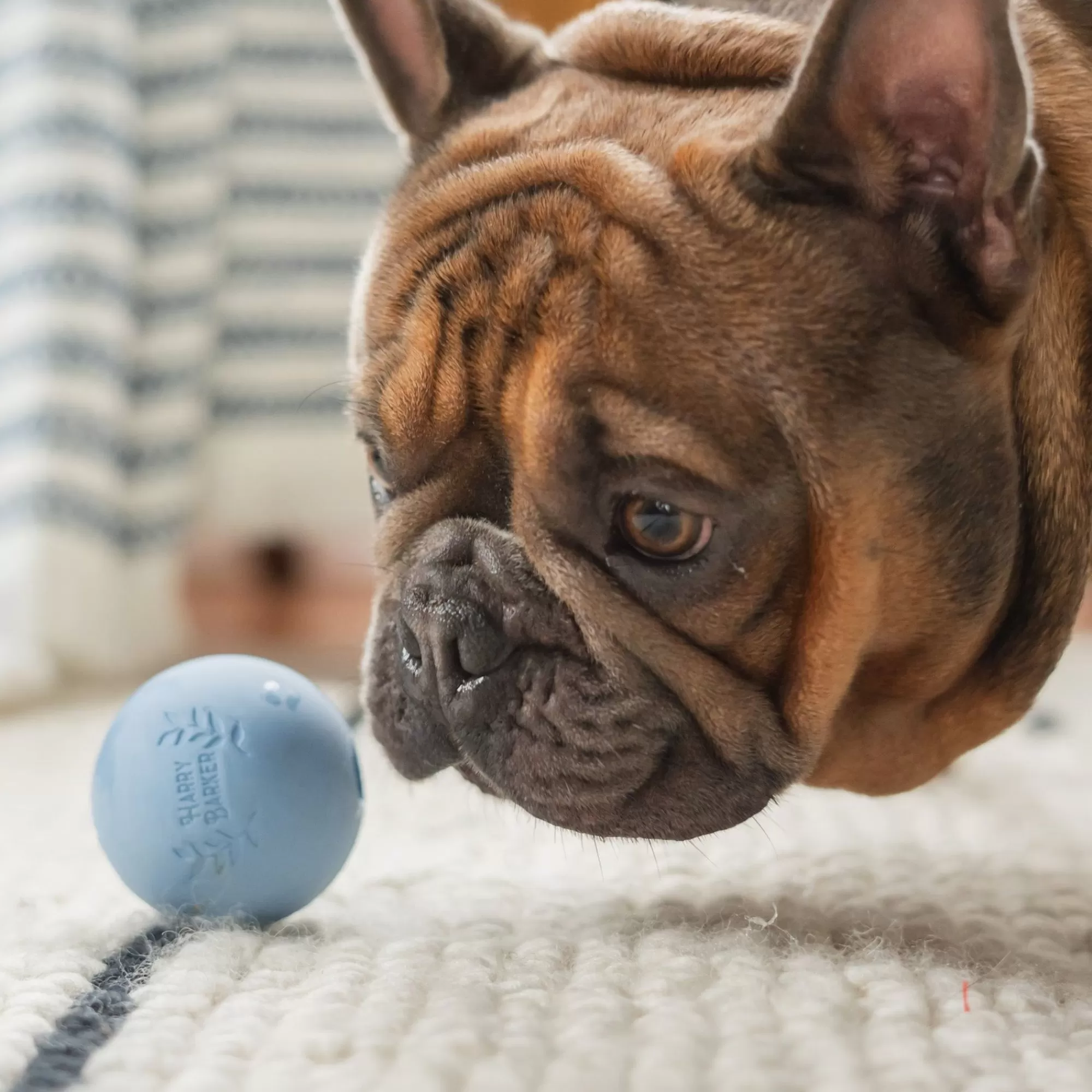 Best 6-Pack Rubber Ball Set - Medium Tough Chewer