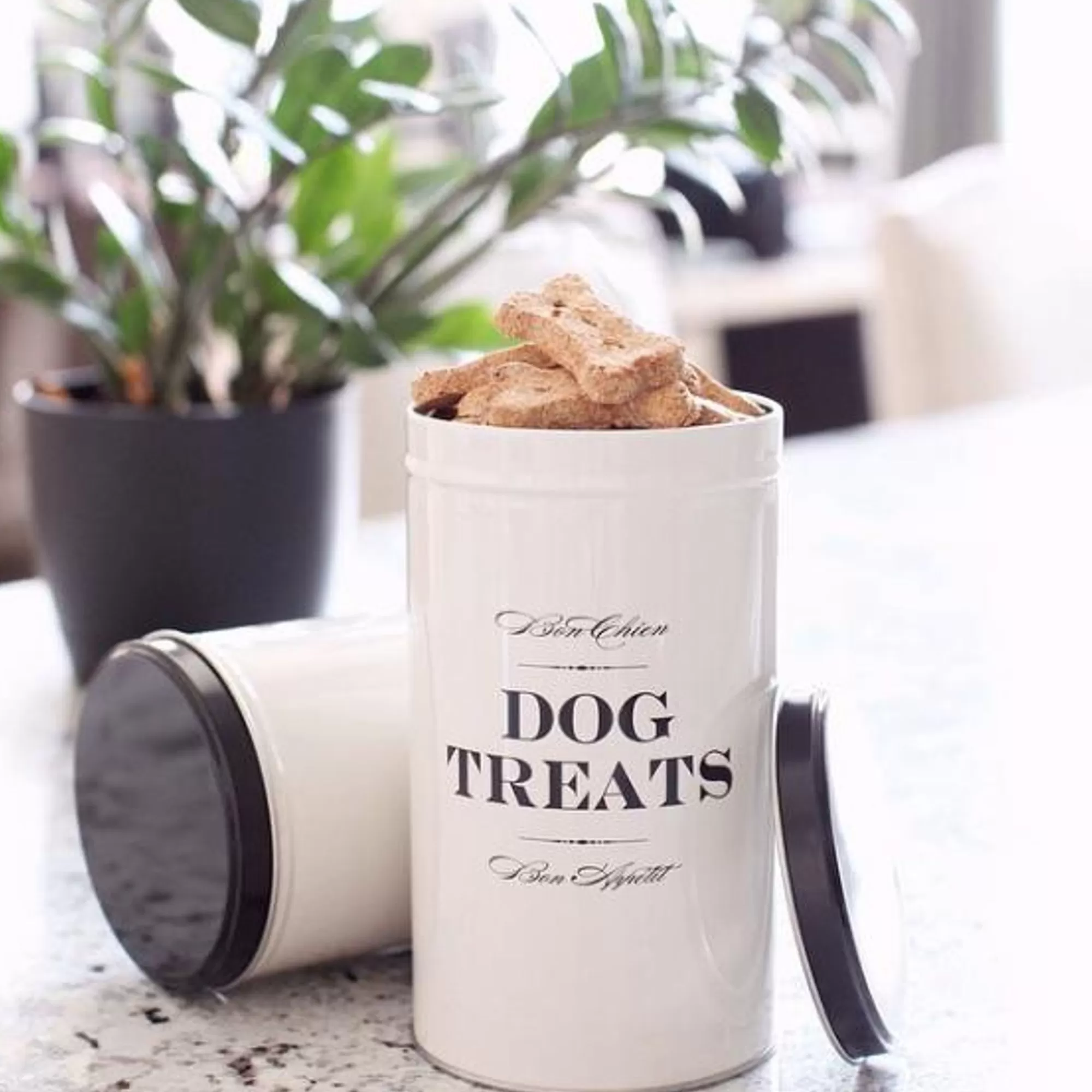 Flash Sale Bon Chien Dog Biscuit Tin Treats & Tins