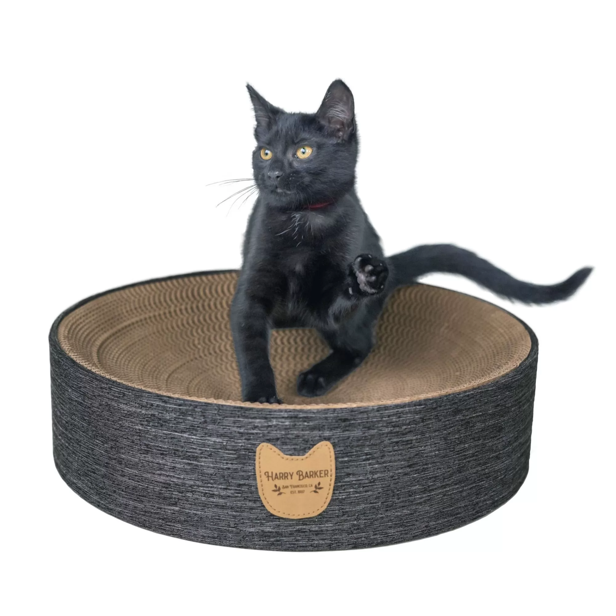 Flash Sale Cat Scratcher Bowl - Refillable Cat