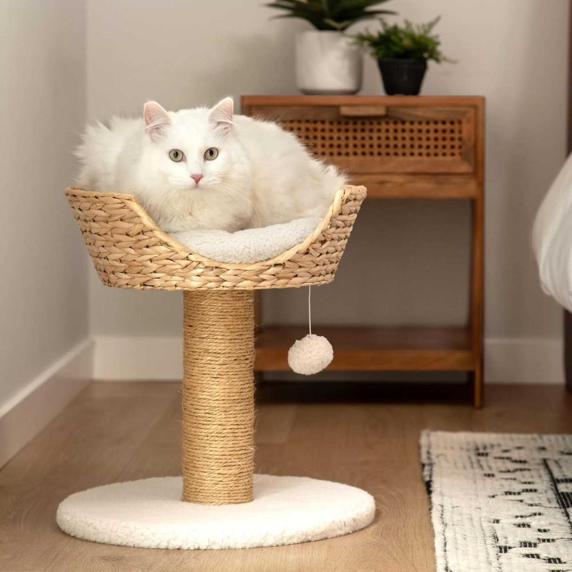 Clearance Cat Scratching Post With Wicker Bed Cat