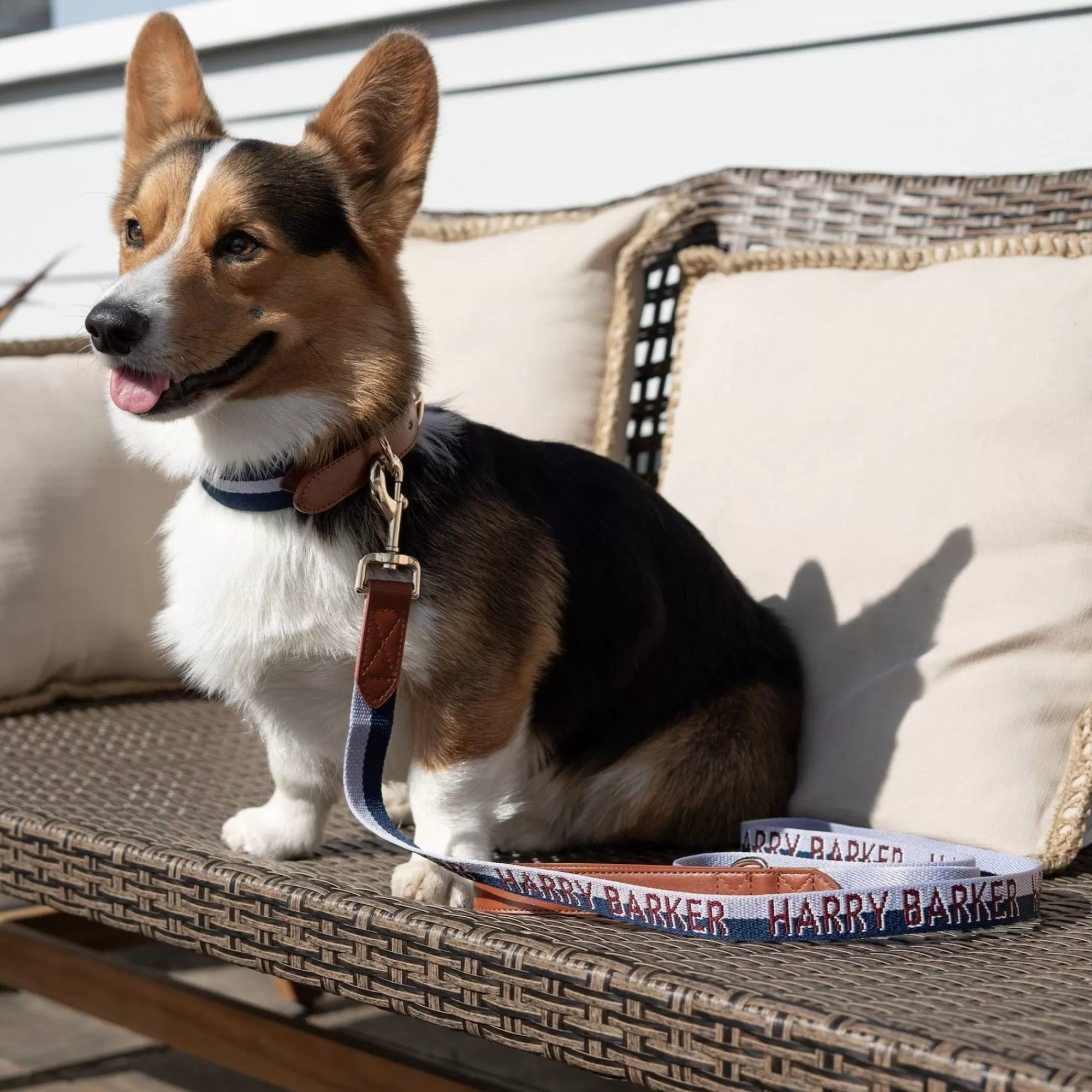 Discount Duo Color 6' Signature Stripe Leash Leashes
