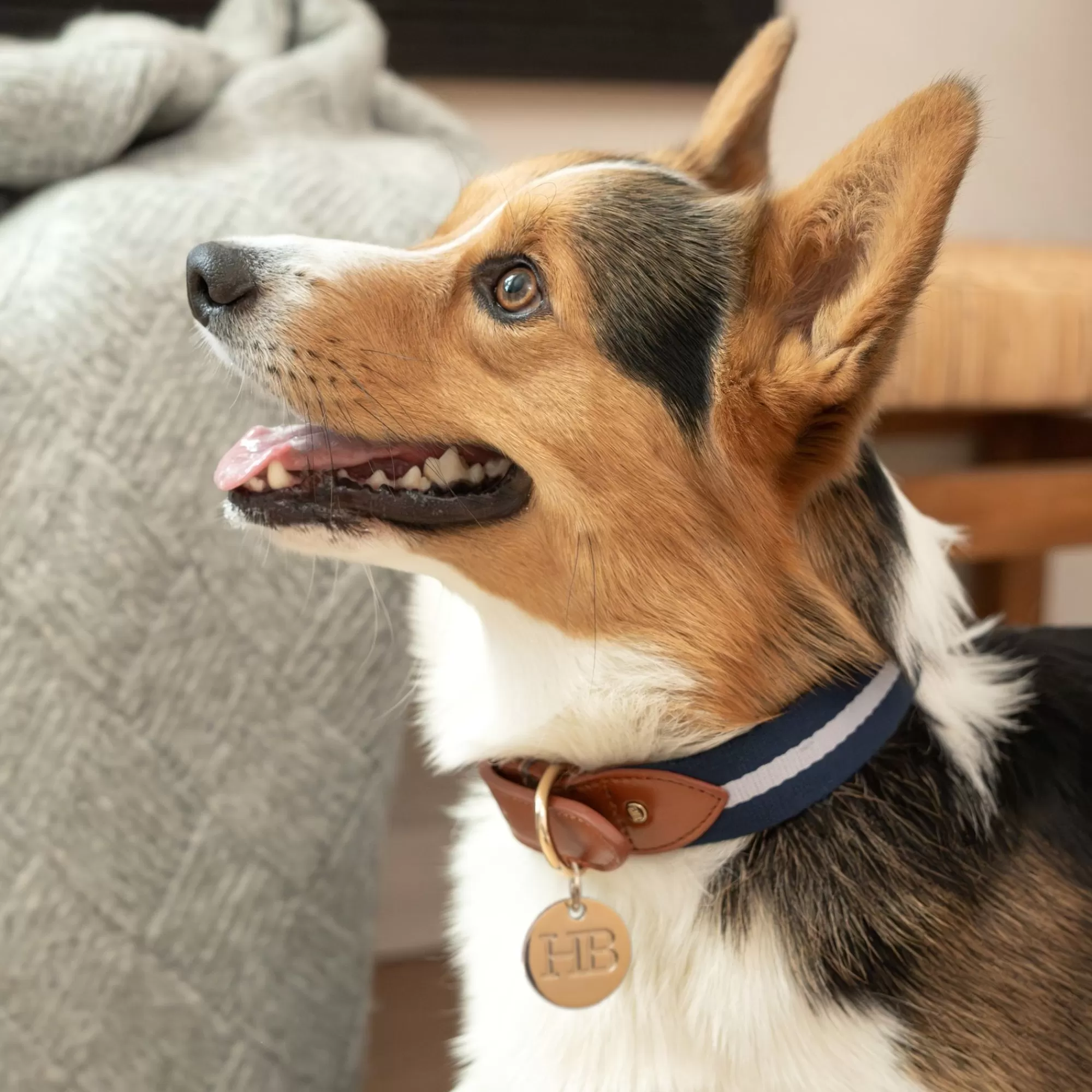 Cheap Duo Color Signature Stripe Collar Collars