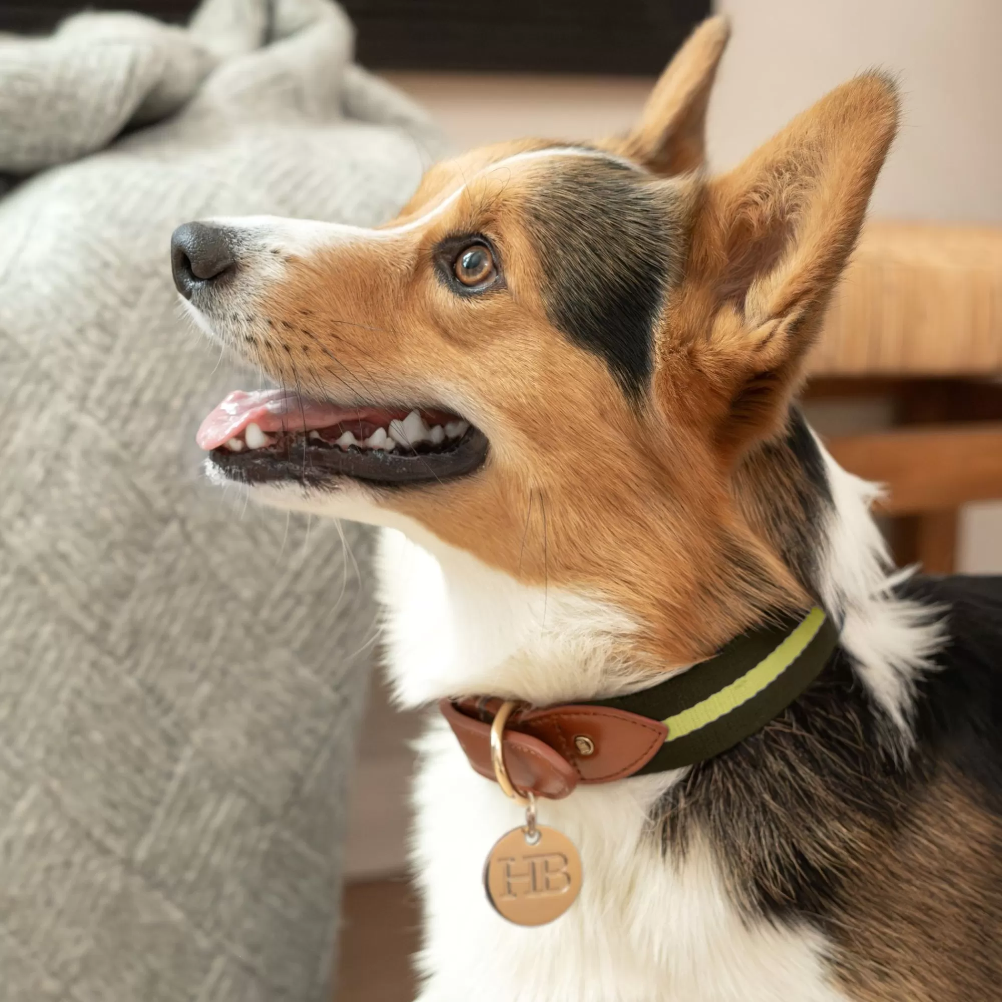 Cheap Duo Color Signature Stripe Collar Collars