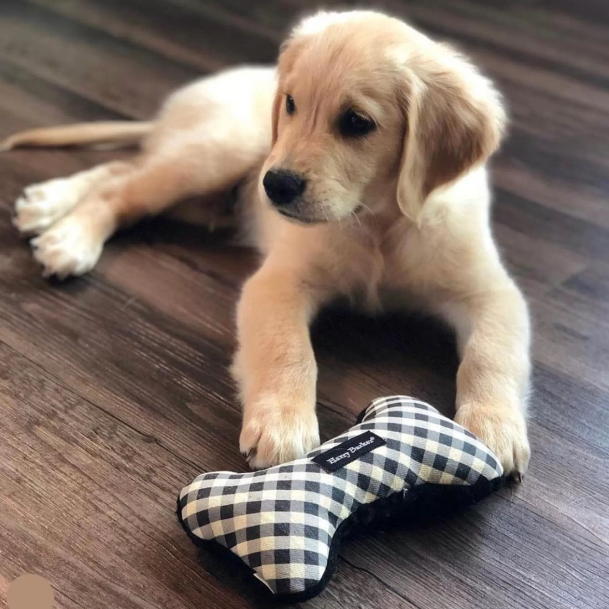 Clearance Gingham Bone Canvas Toy Canvas