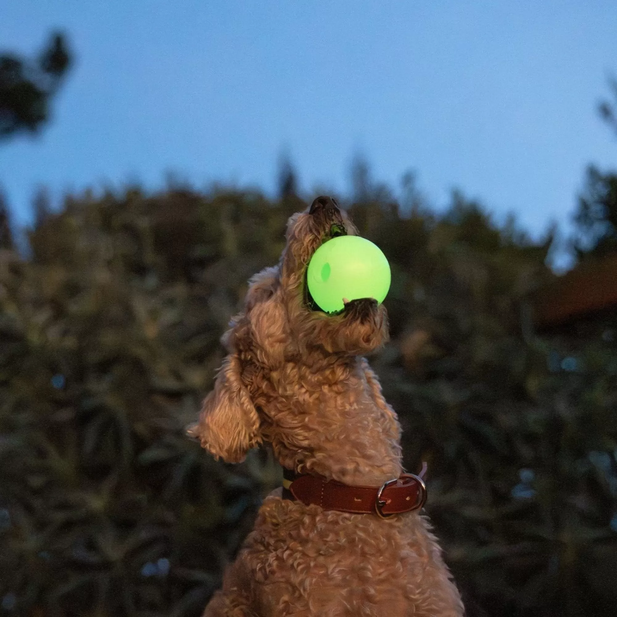 Best Sale Glow In The Dark Fetch Ball 2-Pack Tough Chewer