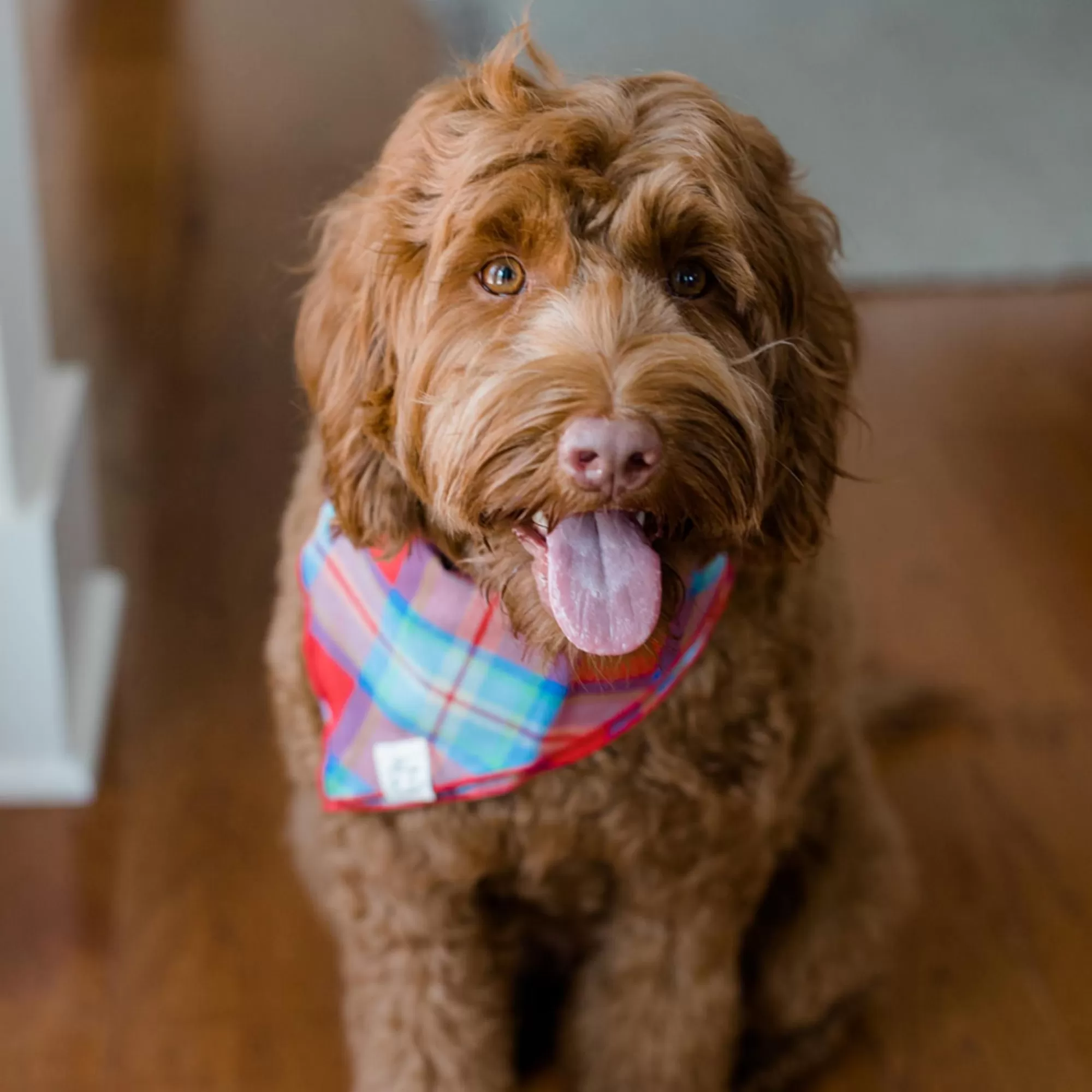 Hot Madras Bandana Apparel