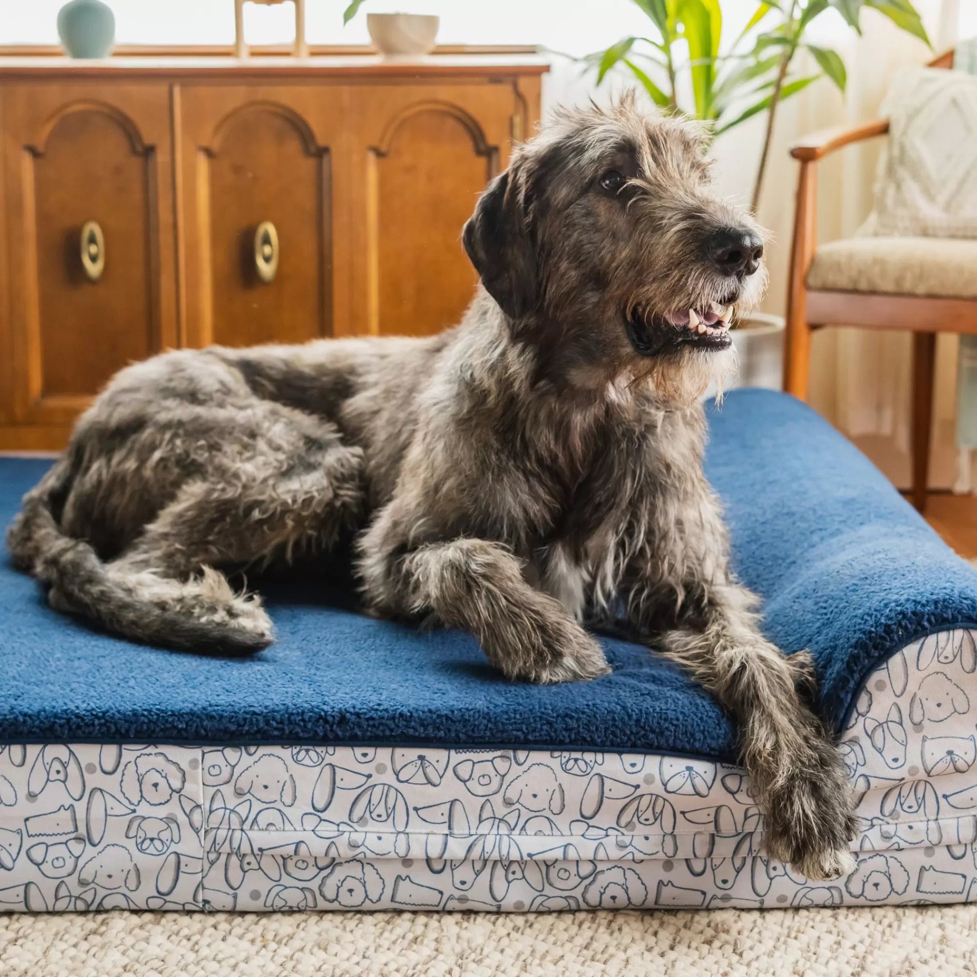 Cheap Orthopedic Pet Bed Orthopedic