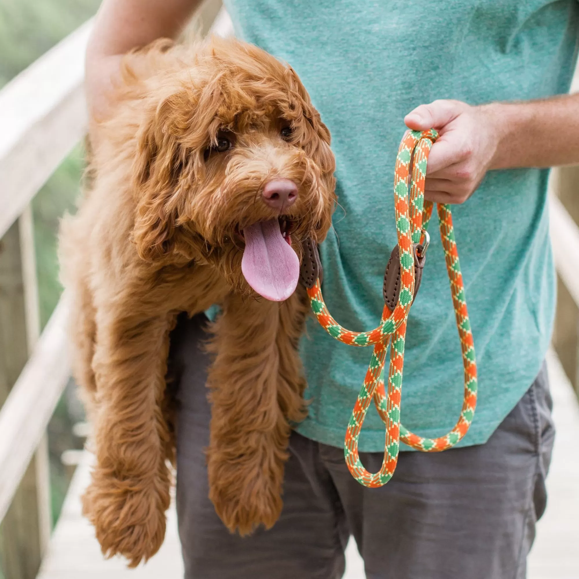 Hot Plaid Rope Dog Leash Leashes