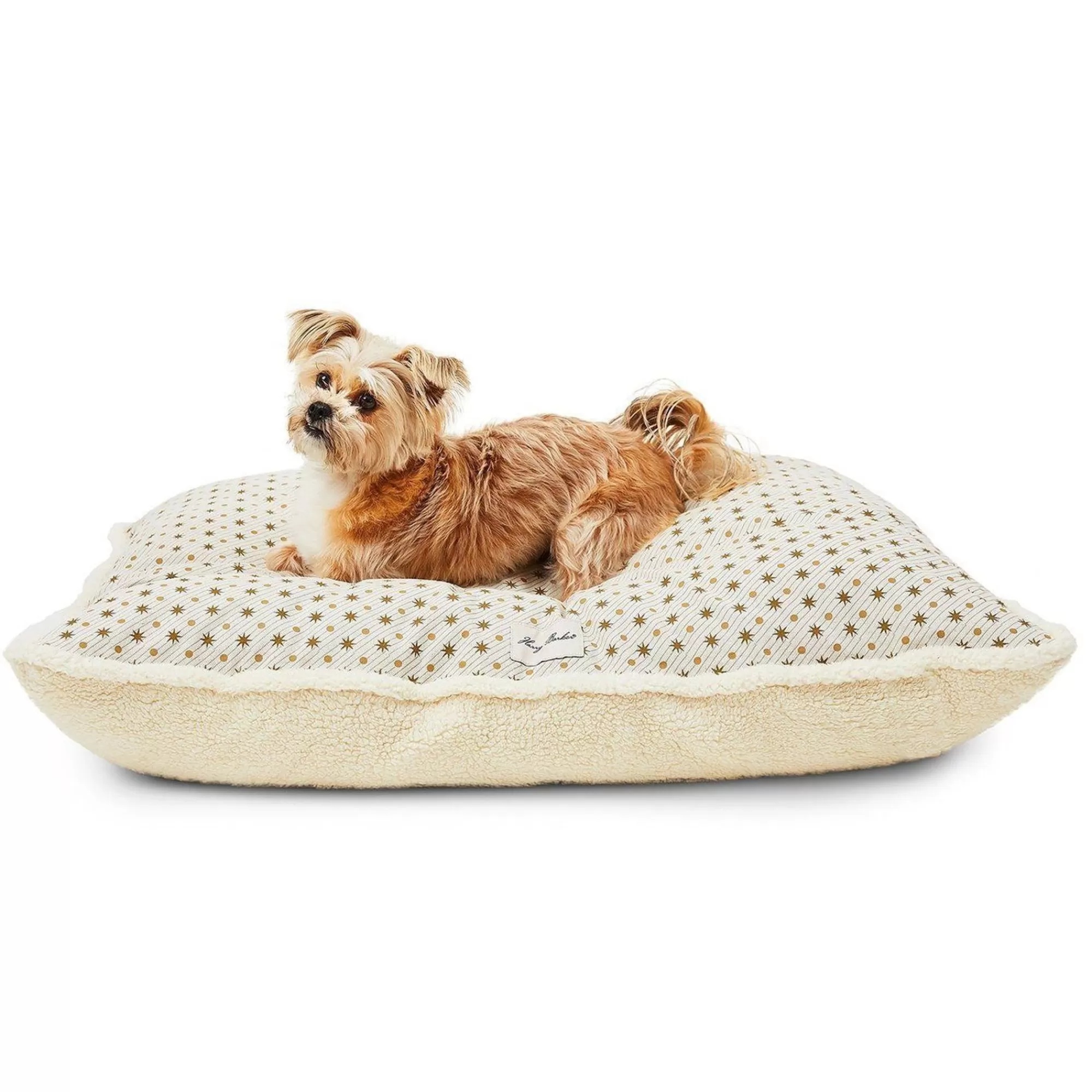 Hot Stargazer Envelope Dog Bed Cover Eco Fiberfill