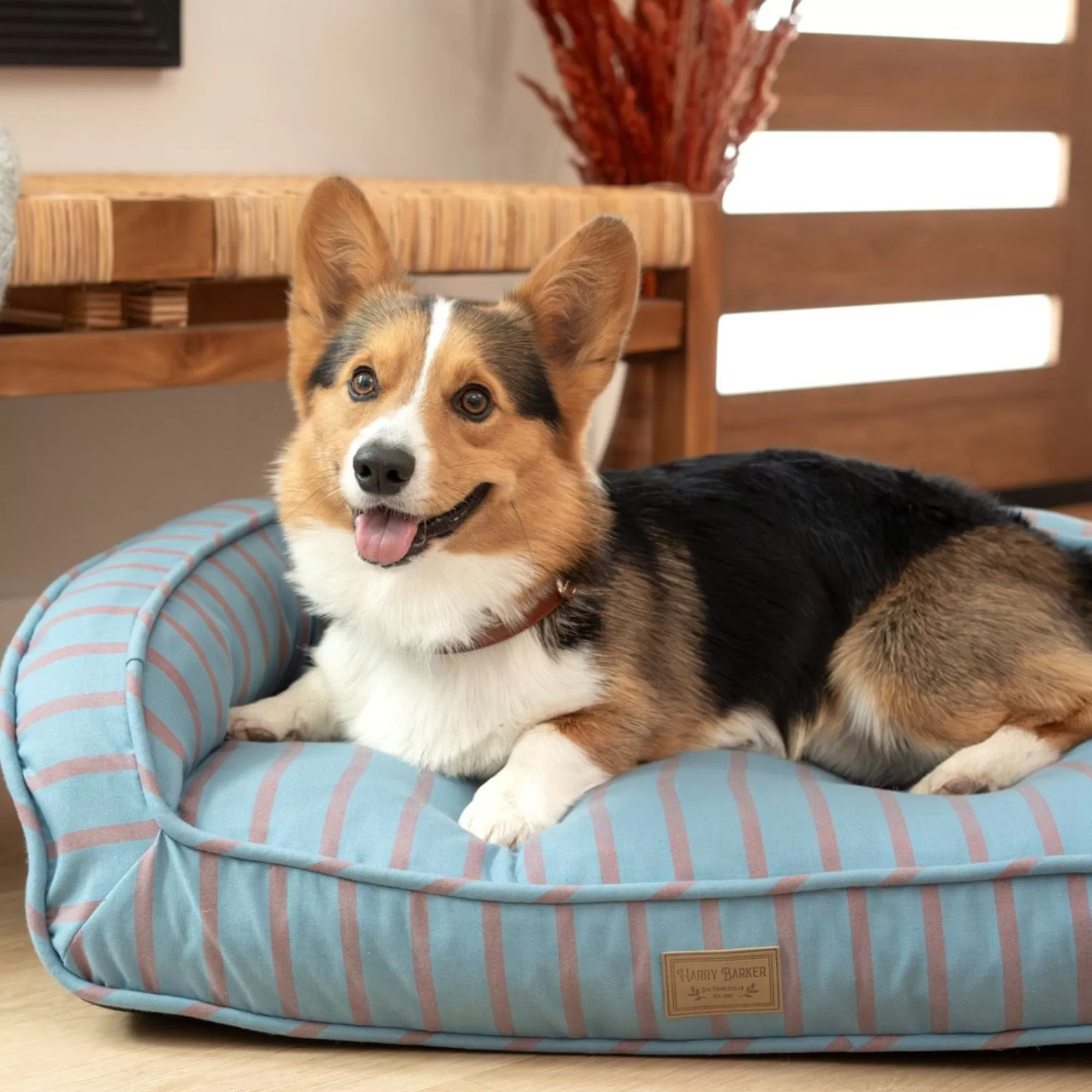 Online Striped Ortho Lounger Pet Bed Striped