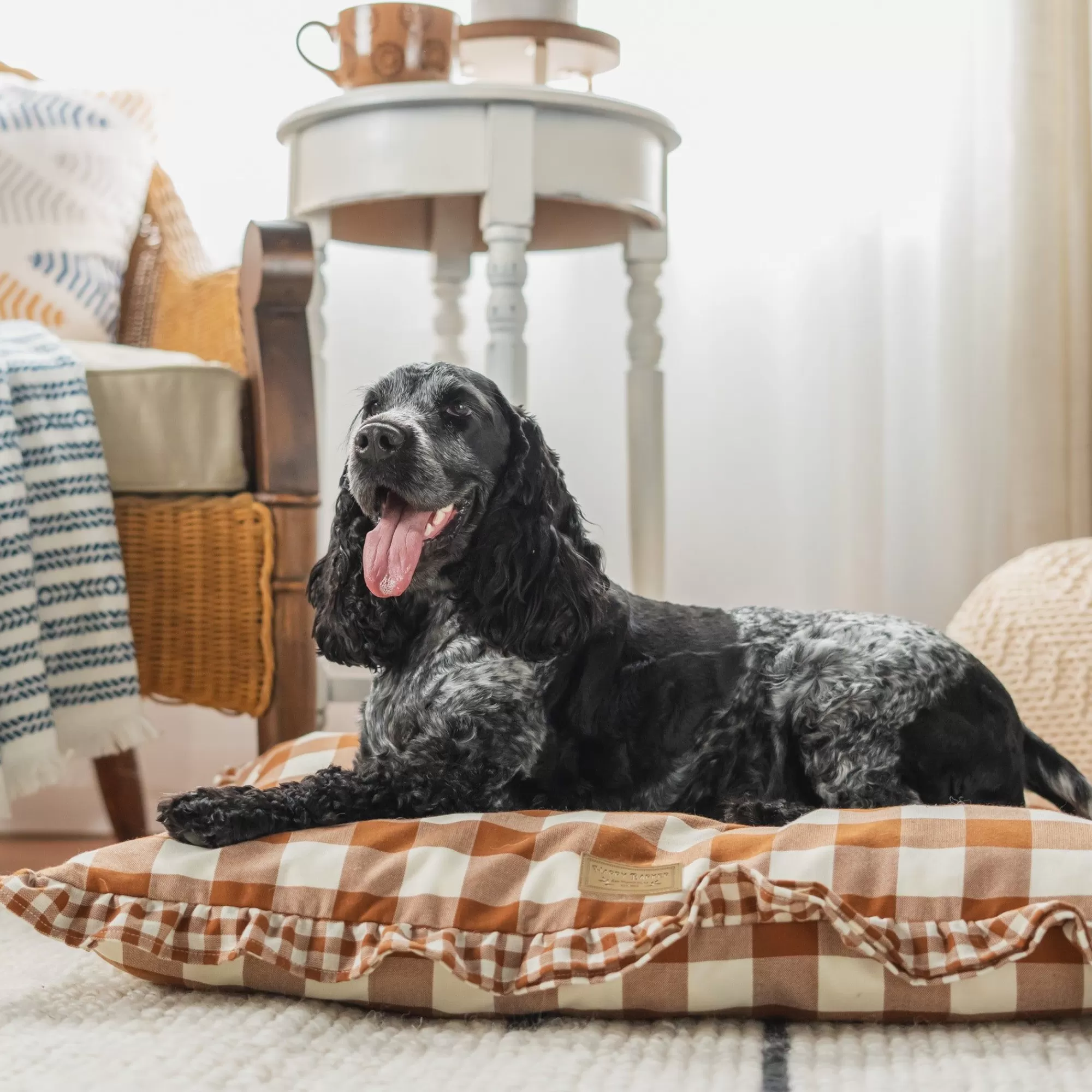 Cheap Vintage Brown Gingham Envelope Dog Bed Full Beds