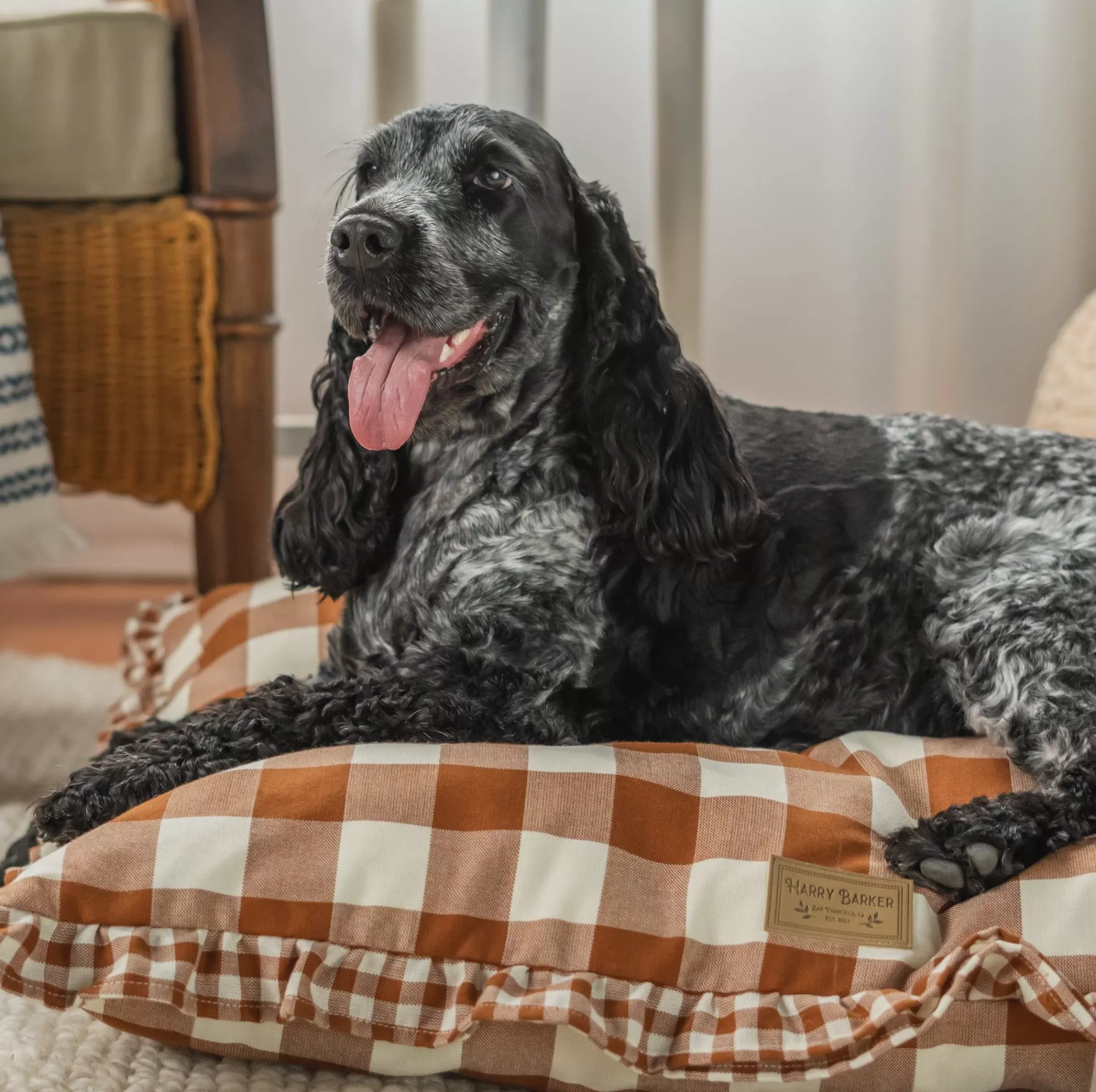 Cheap Vintage Brown Gingham Envelope Dog Bed Full Beds