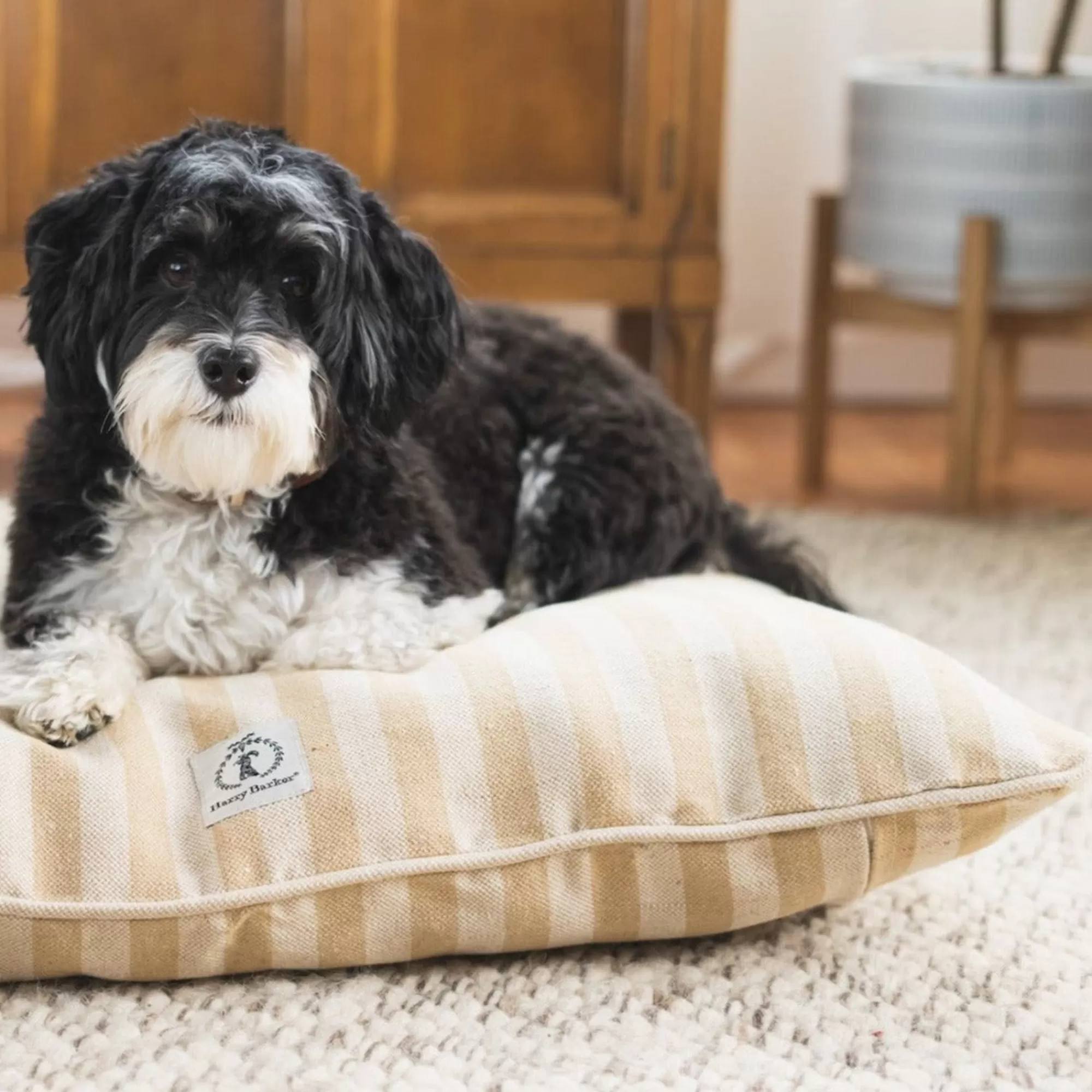 Online Vintage Stripe Envelope Dog Bed Striped