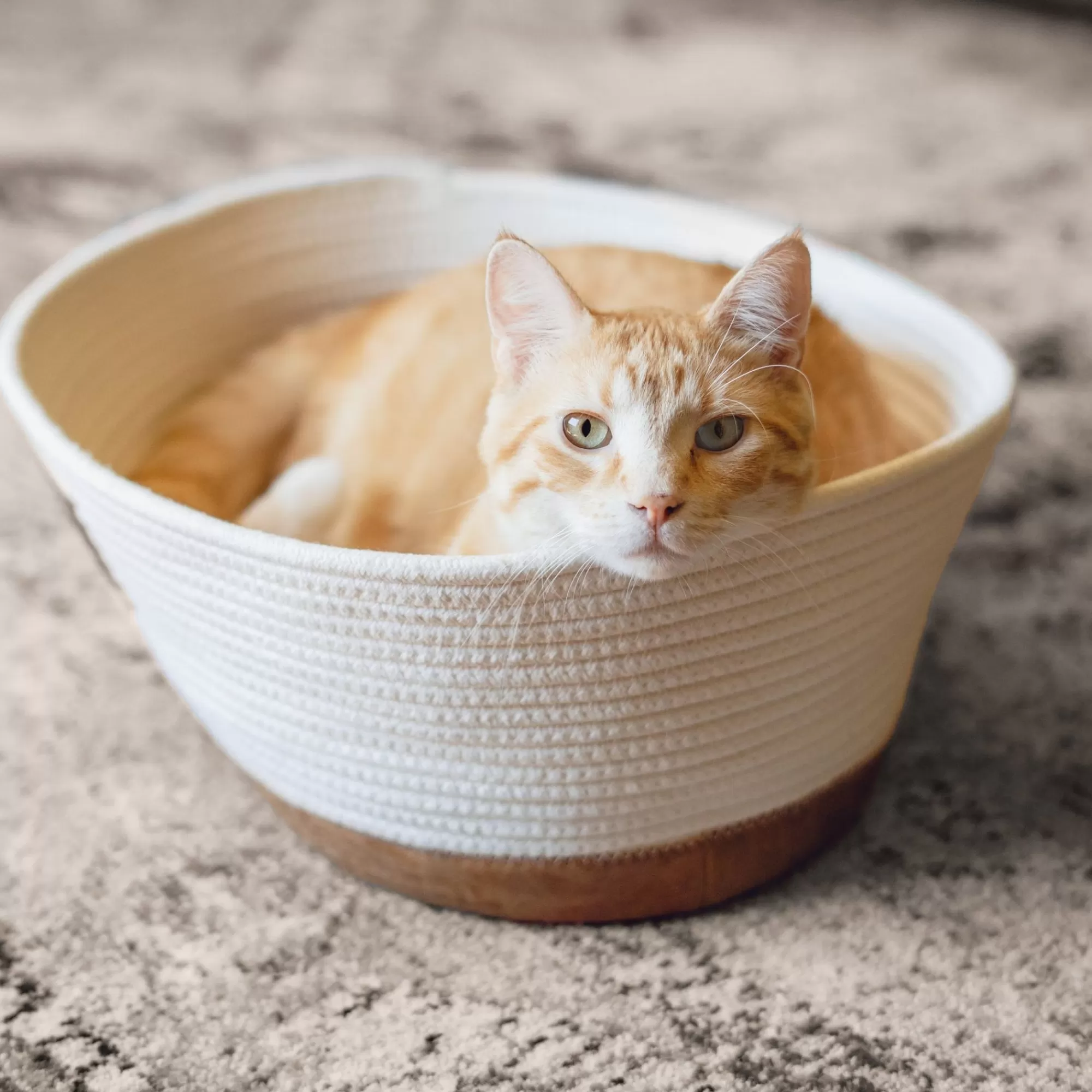 Flash Sale Woven Rope Basket Bed Cat